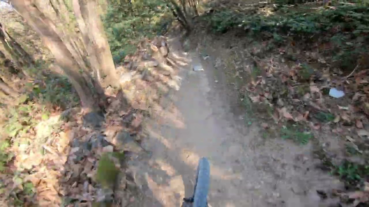 Susy e Cagnolera - DH 2022 - Monte Maddalena - GoPro Hero 7 Black Hypersmooth