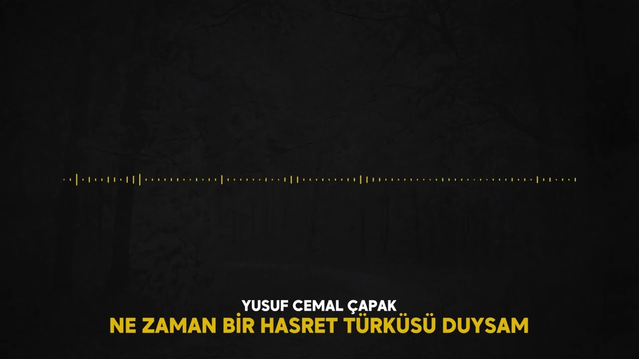 Yusuf Cemal Çapak - Ne Zaman Bir Hasret Türküsü Duysam (Şarkı Sözleri)