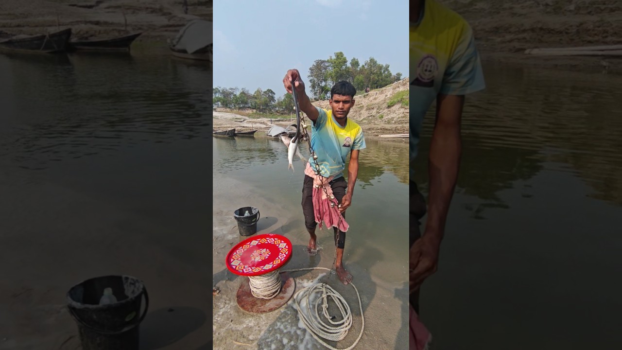 small taste fish Bait throw in and big fish chathin method