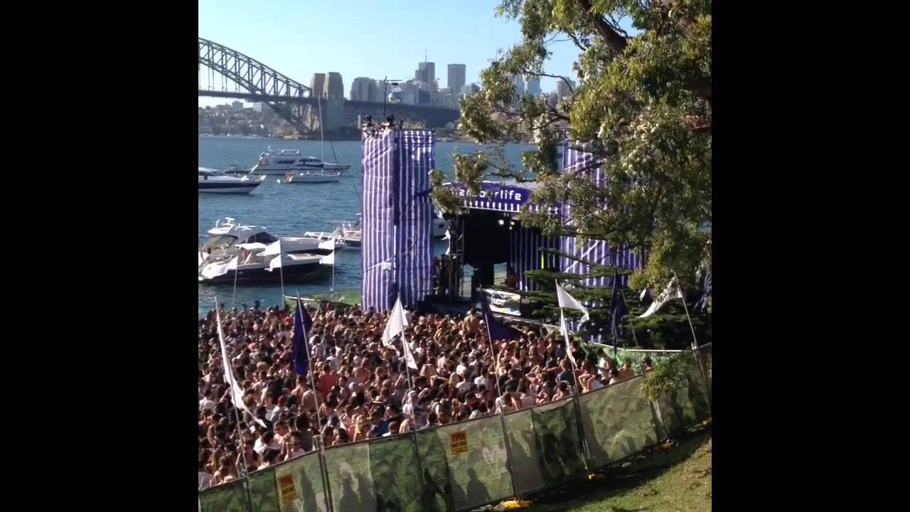 Harbour life
