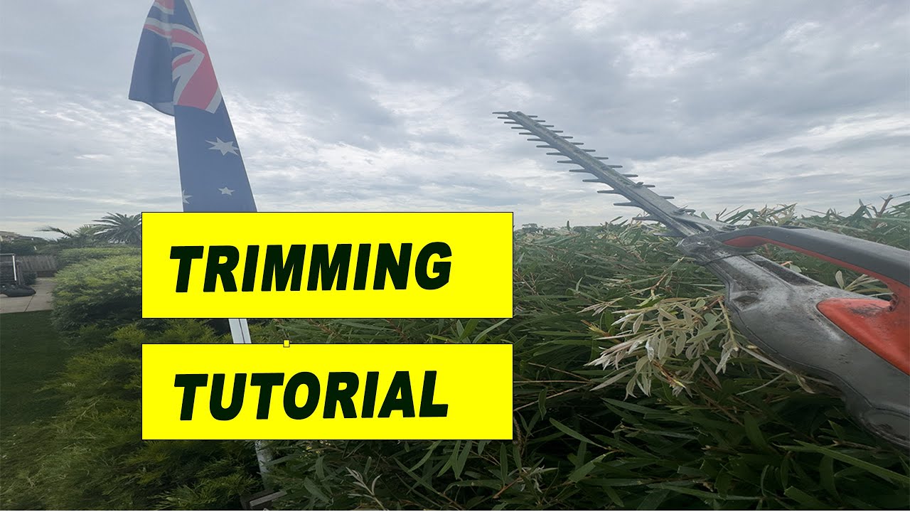Trimming Hedges made easy