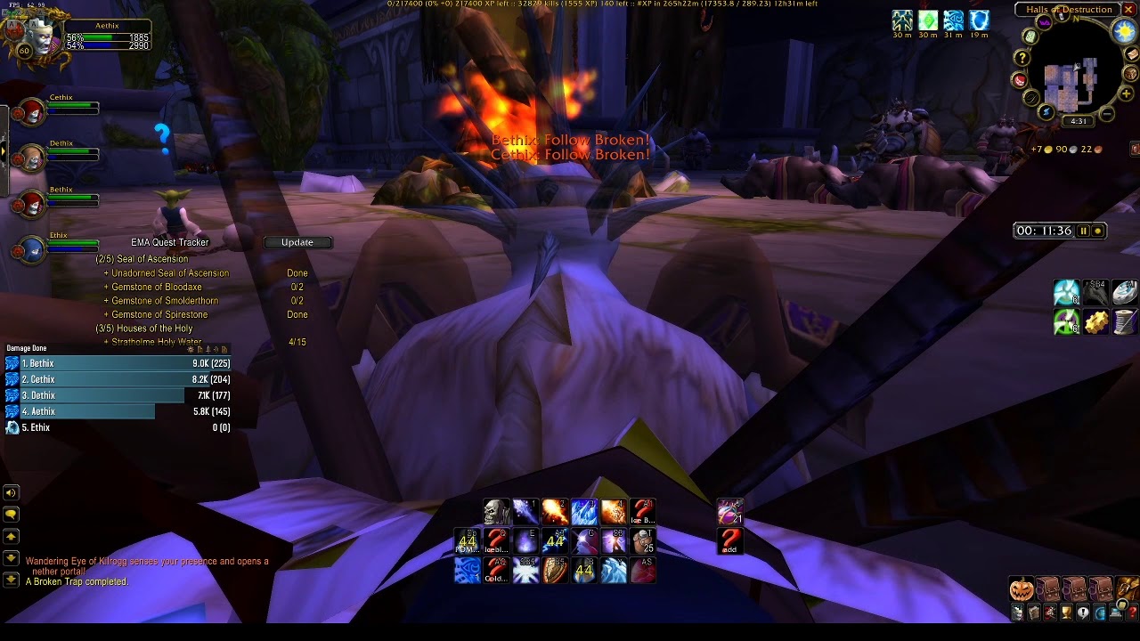 Multibox! Dire Maul Tribute Run