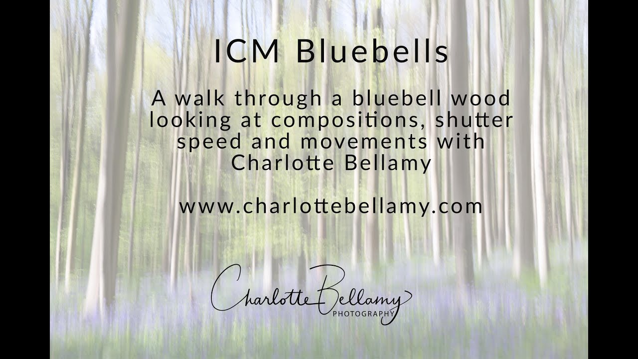 ICM bluebells - woodland Intentional camera movement photography tutorial - Charlotte Bellamy