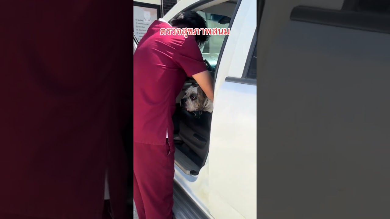ตรวจสุขภาพสนมEP.1 
