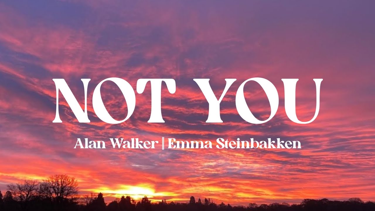 Alan Walker & Emma Steinbakken - NOT YOU - Lirik Lagu - Photobook with my mistakes