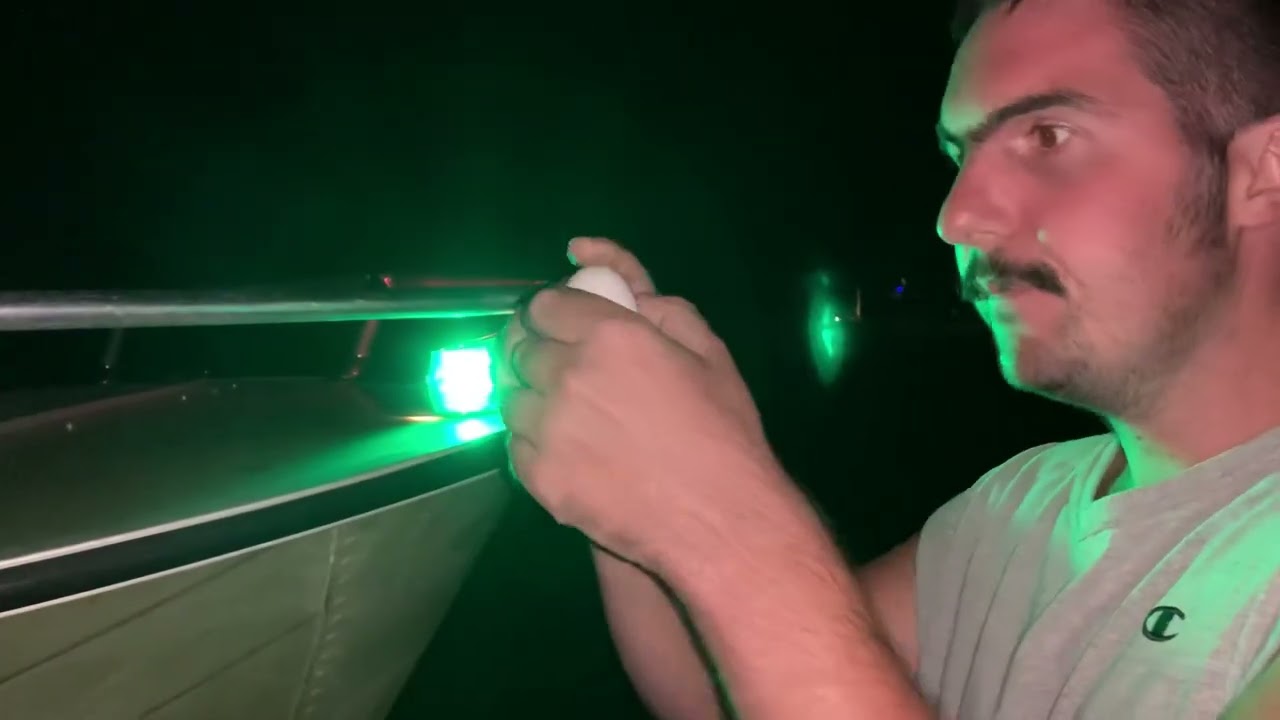 Looking inside of an egg (fake ultrasound)