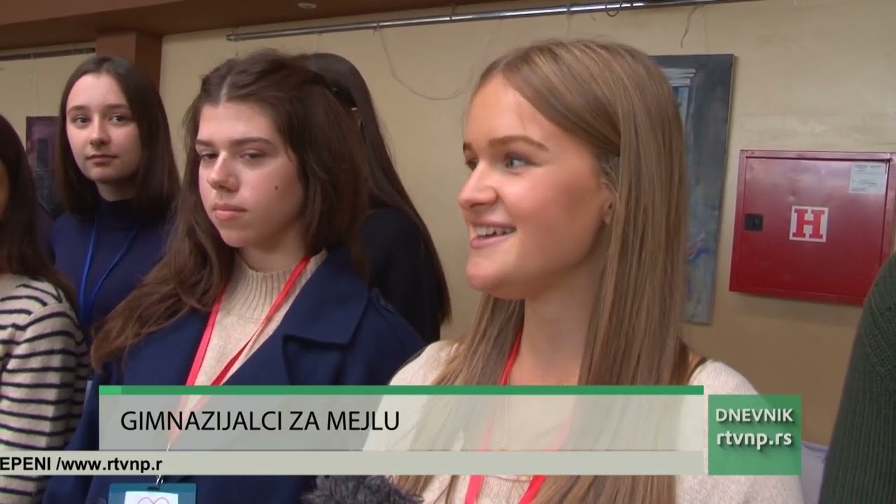 Humanitarni bazar u Gimnaziji za lečenje Mejle Ugljanin Suljović
