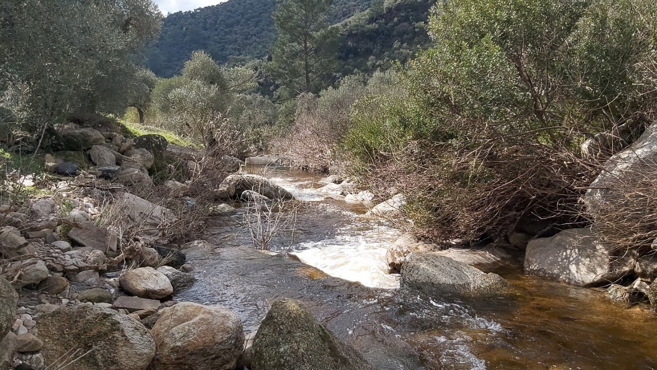 Muğla Yaza Merhaba Dedi