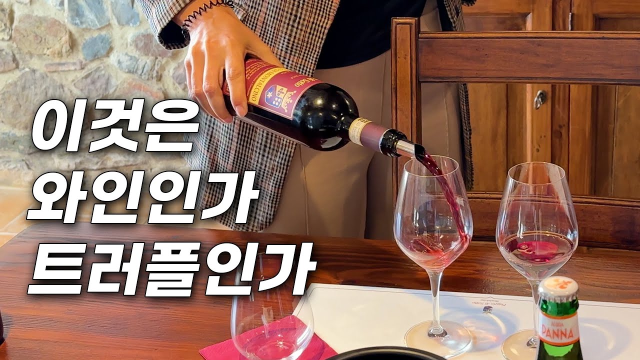 🍷보이면 바로 사야하는 와인! 이탈리아 3대 BDM 포지오 디 소토 와이너리 투어(Poggio di Sotto Winery Tour, Montalcino, Italy) #몬탈치노