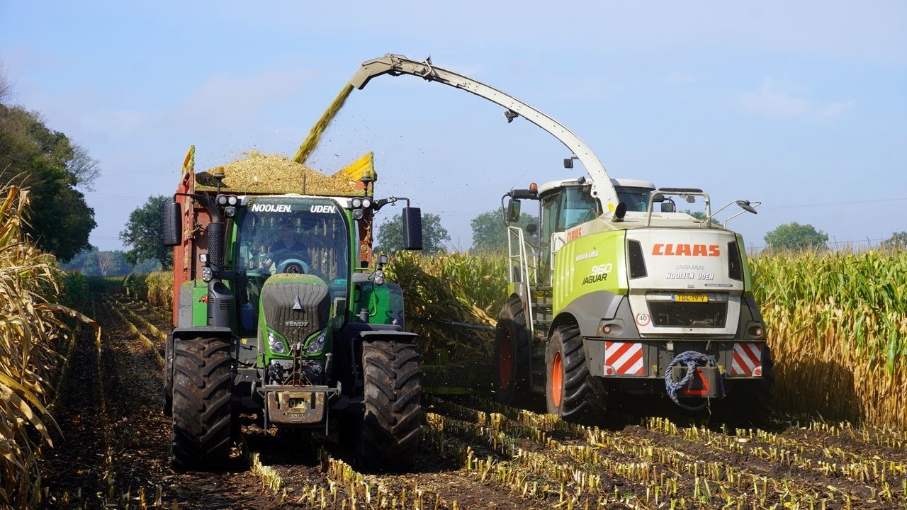 Mais 2025 | Claas Jaguar 960 | Fendt | Case 721F | Nooijen Uden | Maishakselen | Mais silage