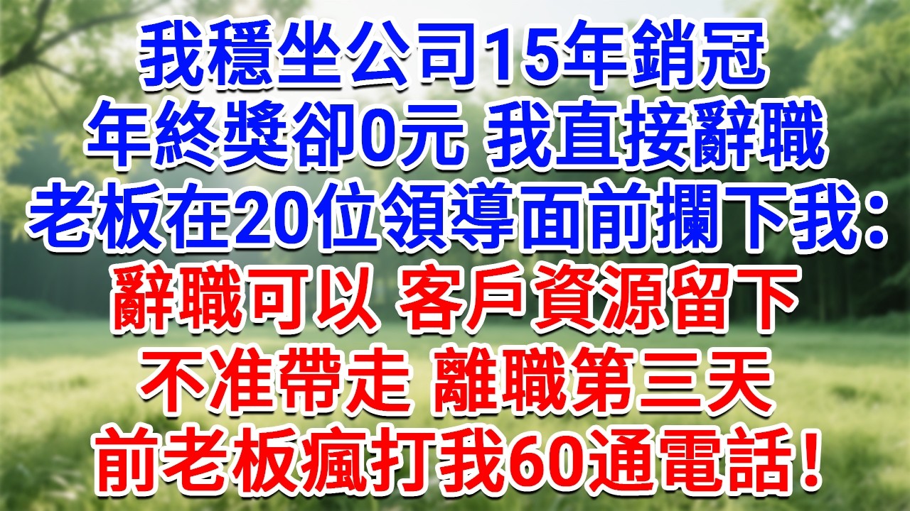 我穩坐公司15年銷冠，年終獎卻0元我直接辭職，老闆在20位領導面前攔下我：辭職可以，客戶資源留下不准帶走！離職第三天，前老闆瘋打我60通電話！#生活經驗#情感故事#故事#小說#戀愛#情感#婚姻