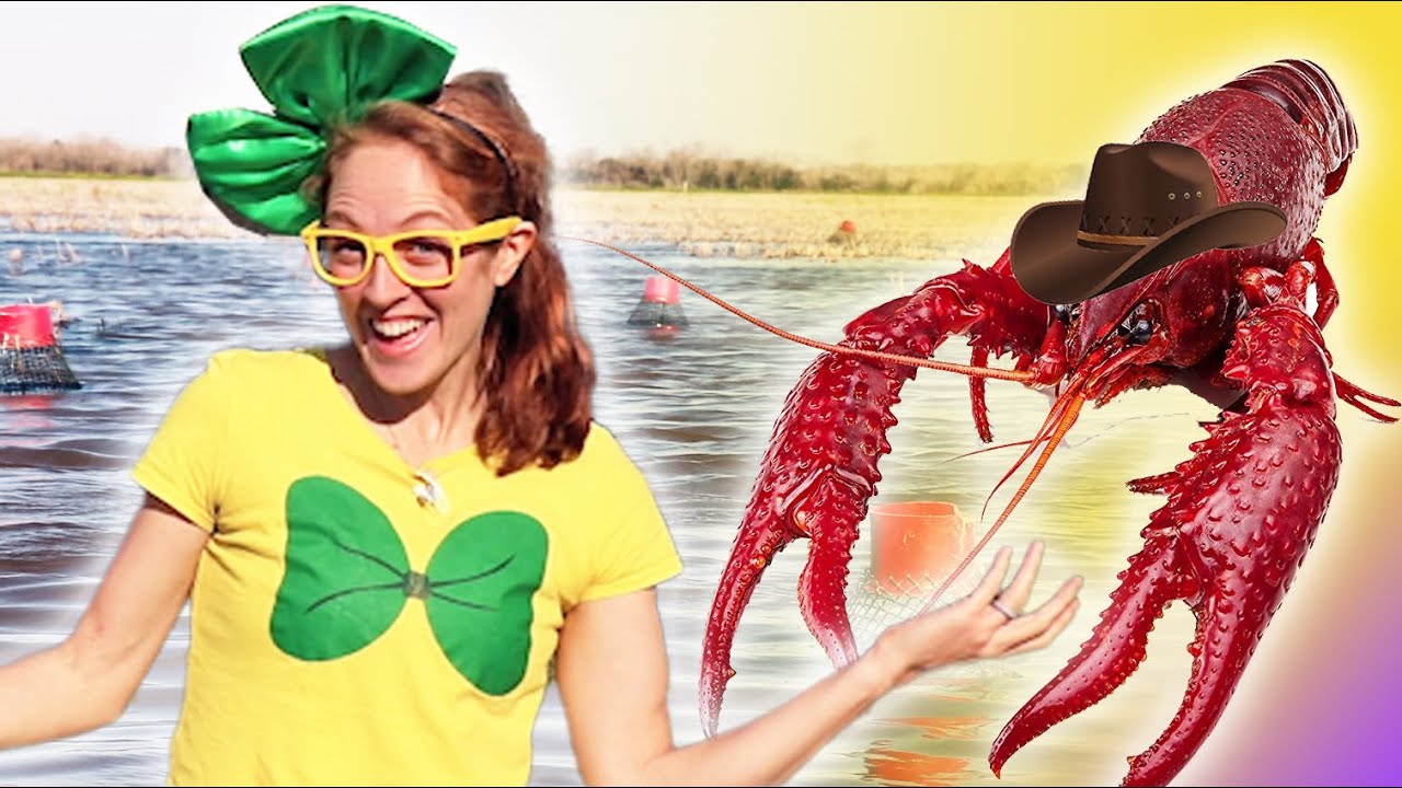 Learn About Crawfish Farming 🦞🚜