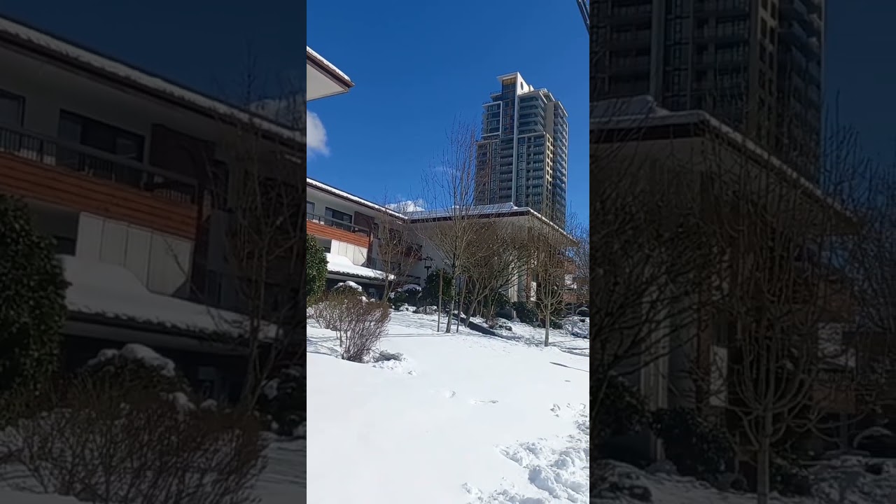 Vancouver BC snow ❄️ &hearts;️