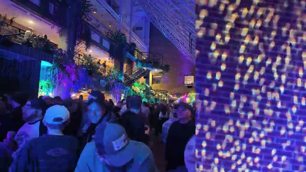 Eggy at Treehouse Brewing Night 1: Full House Timelapse 01-16-26