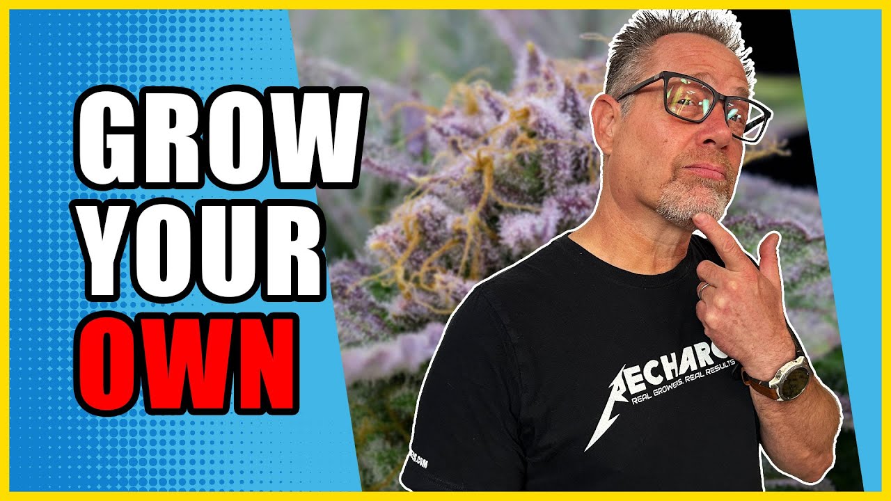 3 Reasons Cannabis Growers Get Hooked on Home Growing
