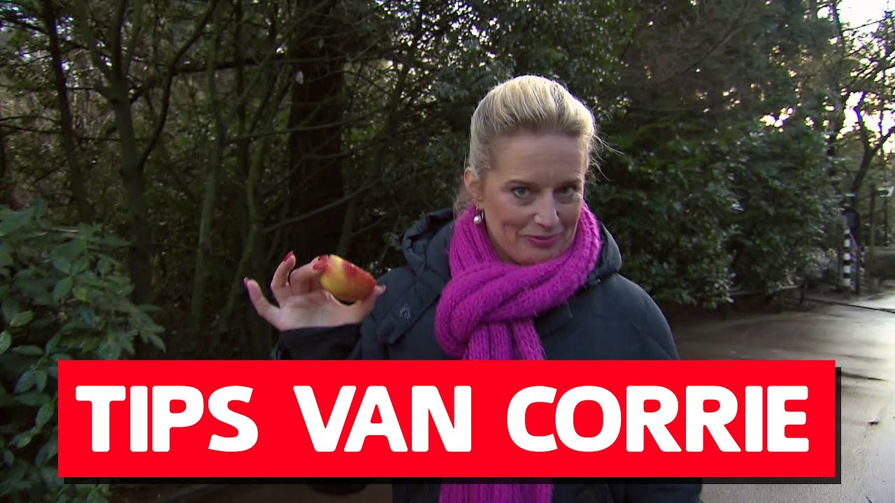 Hoe versierde je vroeger iemand? | De Dokter Corrie Show