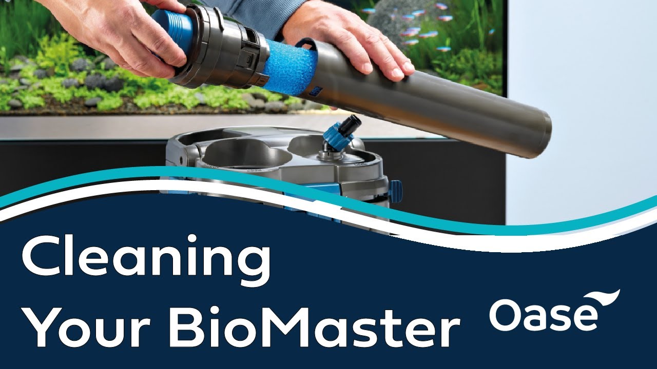 OASE BioMaster Complete Cleaning Routine Guide