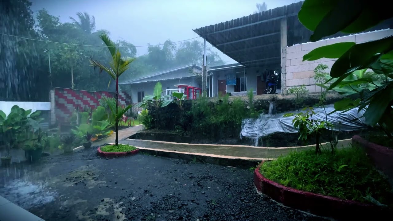 Soft Rain Sounds for Peaceful Sleep All Night
