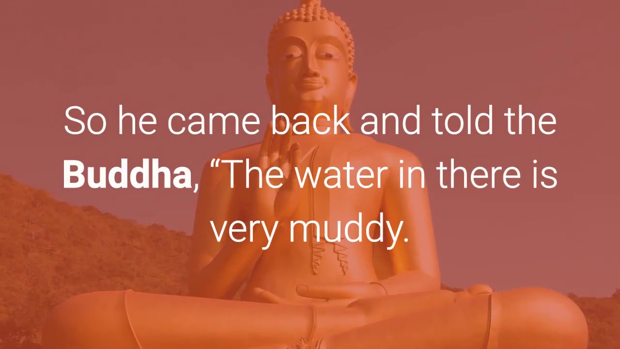 Sometimes just let it be-Much Watch video ever - by Buddha