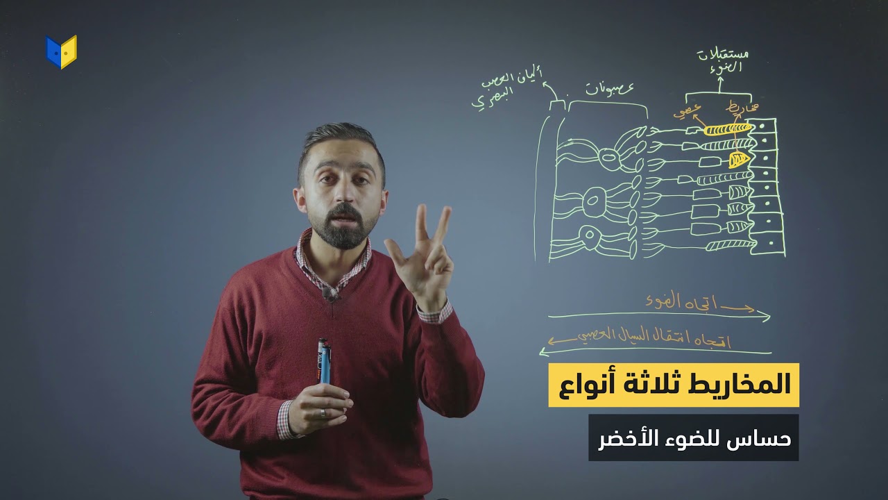 أحياء توجيهي علمي - آلية الابصار