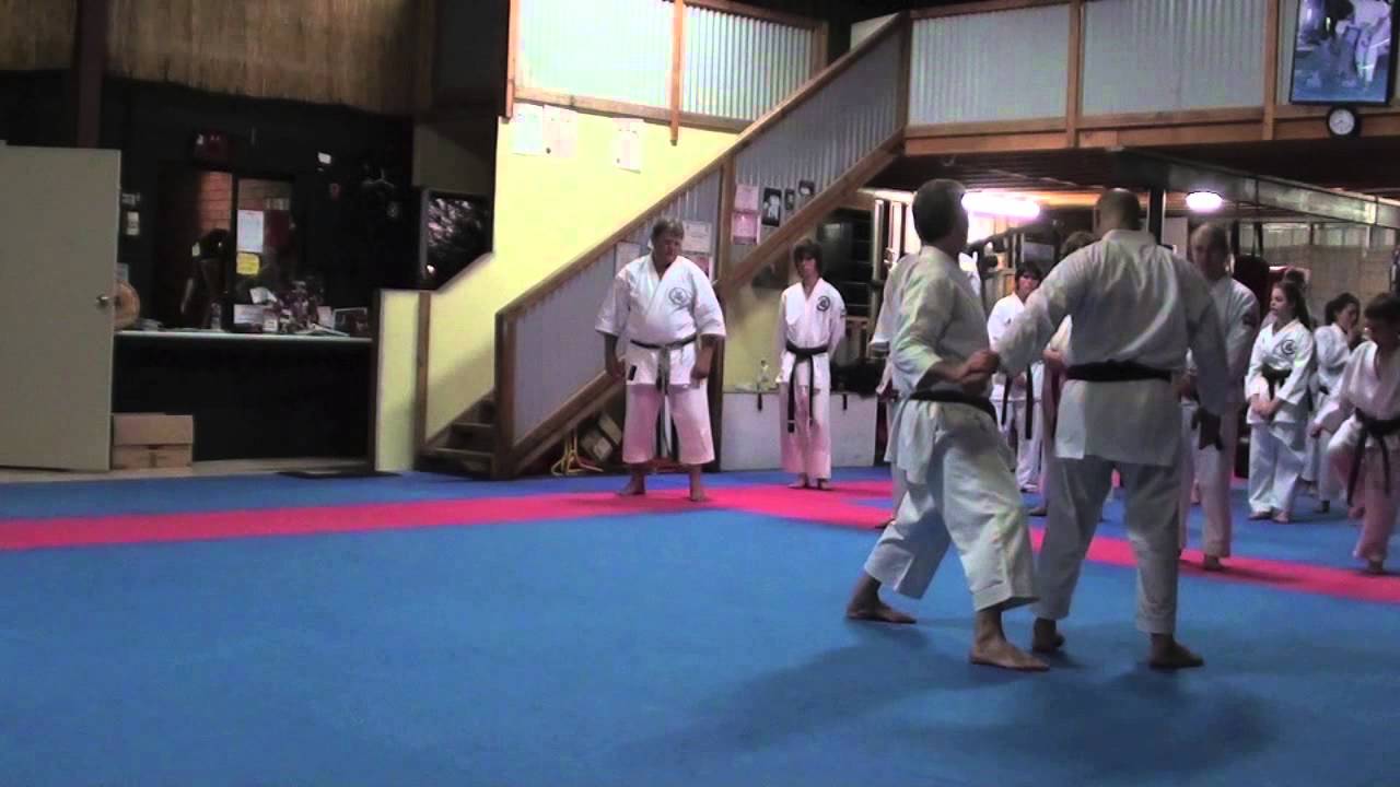 Sensei Luis Maria Sanz-Laurieton