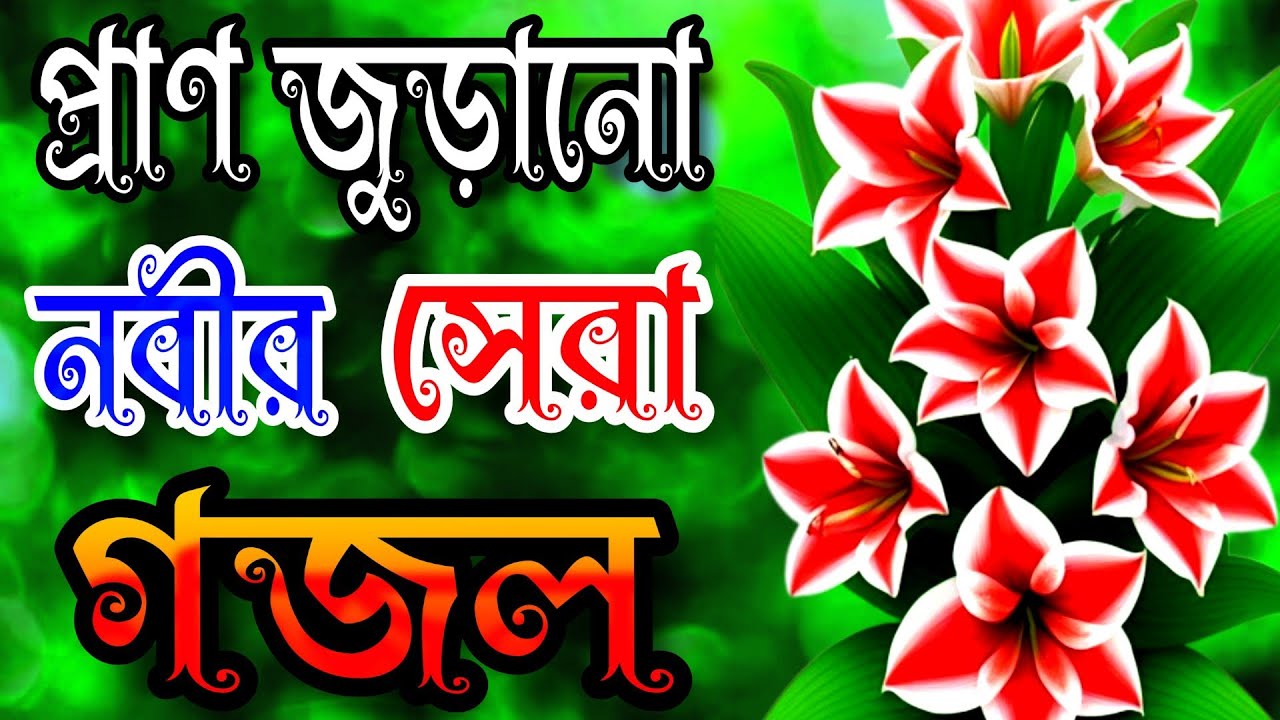 প্রাণ জুড়ানো নবীর সেরা গজল, খুবই দুঃখের মন উজাড় করা গজল, nobir Premi notun gojol, sera ghazal 