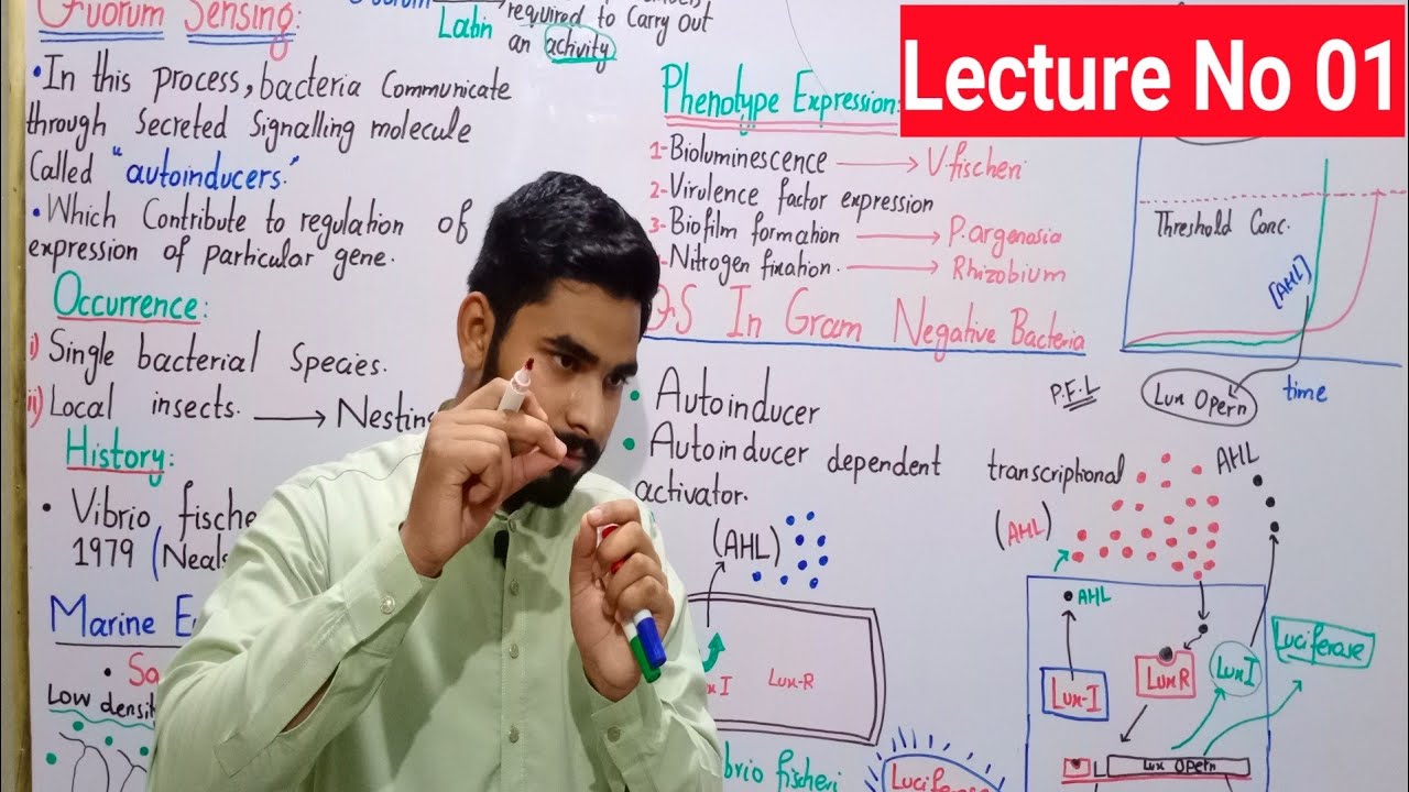 Quorum Sensing In Bacteria In Urdu | How Bacteria Talk To Each Other In Hindi || QS In V. Fischeri