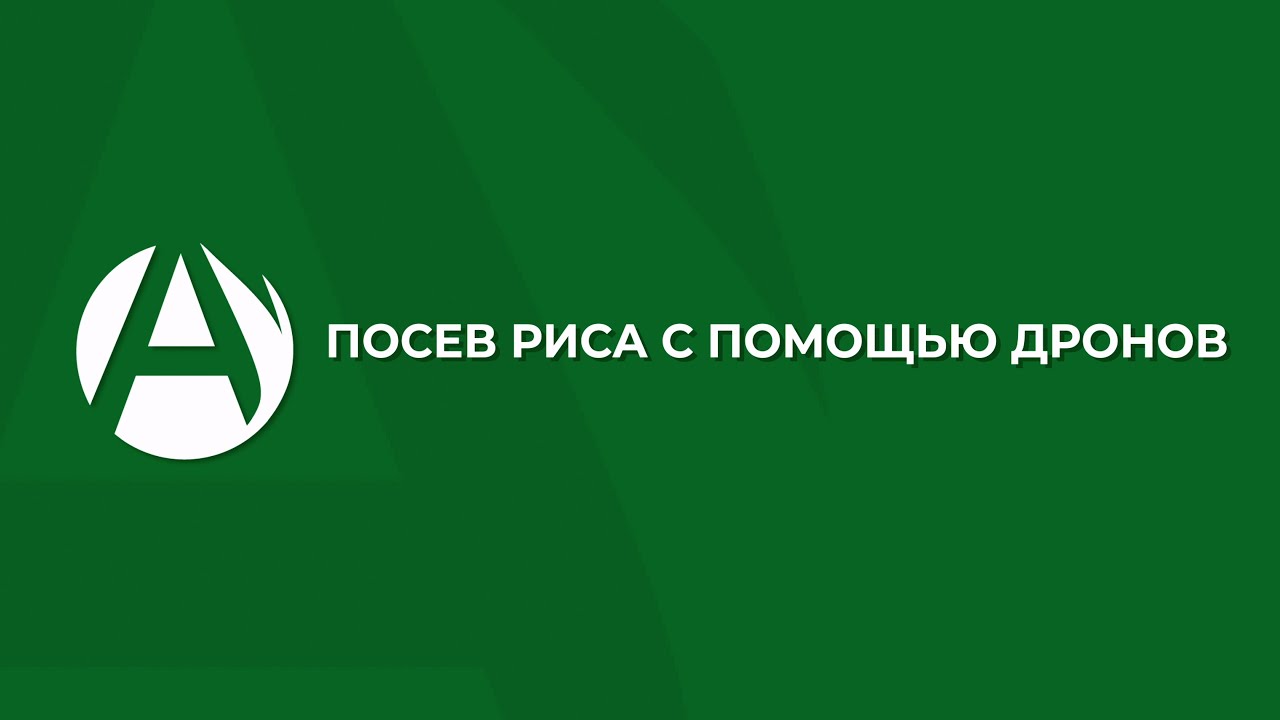 Посев риса дронами