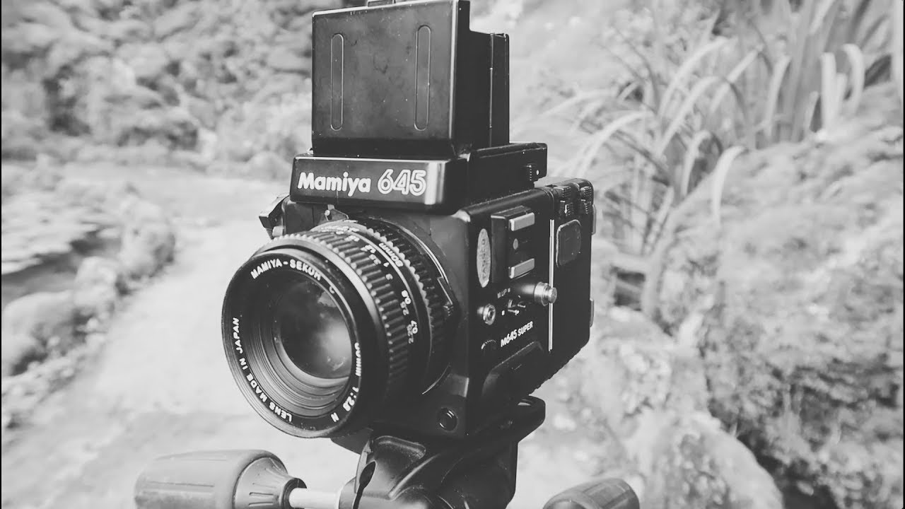 Mamiya 645 Super First Impressions - Mamiya 645 afd II b&w film in Matlock Bath