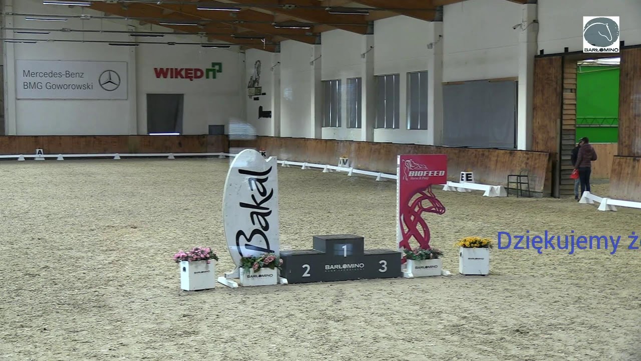 Halowe Mistrzostwa Polski Kuców w Ujeżdżaniu