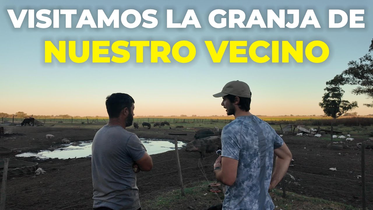 5 hectareas de granja | Cría de vacas, ovejas, chanchos, gallinas, pavos y más!