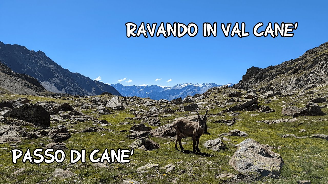 La Val Cane e le Cime di Pietrarossa