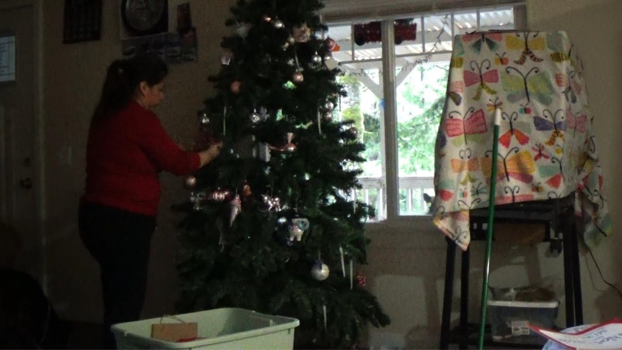 Limpieza despues de las vacaciones y las fiestas navideñas, Adios a las lucesitas 
