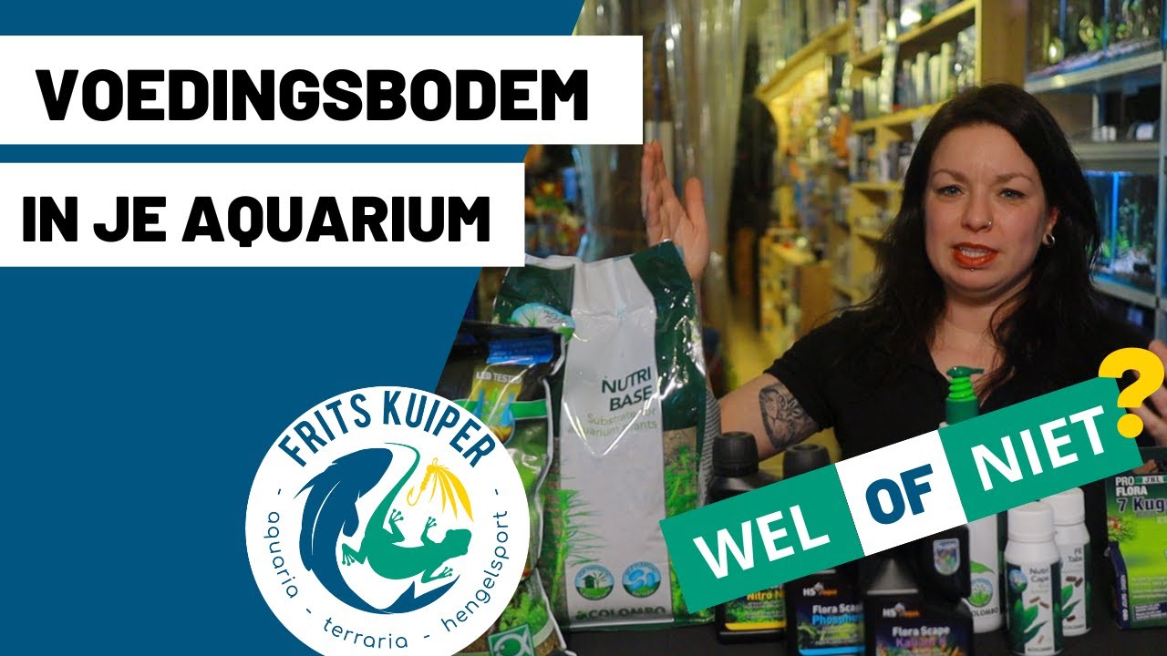 Voedingsbodem Aquarium | Wel of niet gebruiken? Alle voor- en nadelen | Frits Kuiper Groningen
