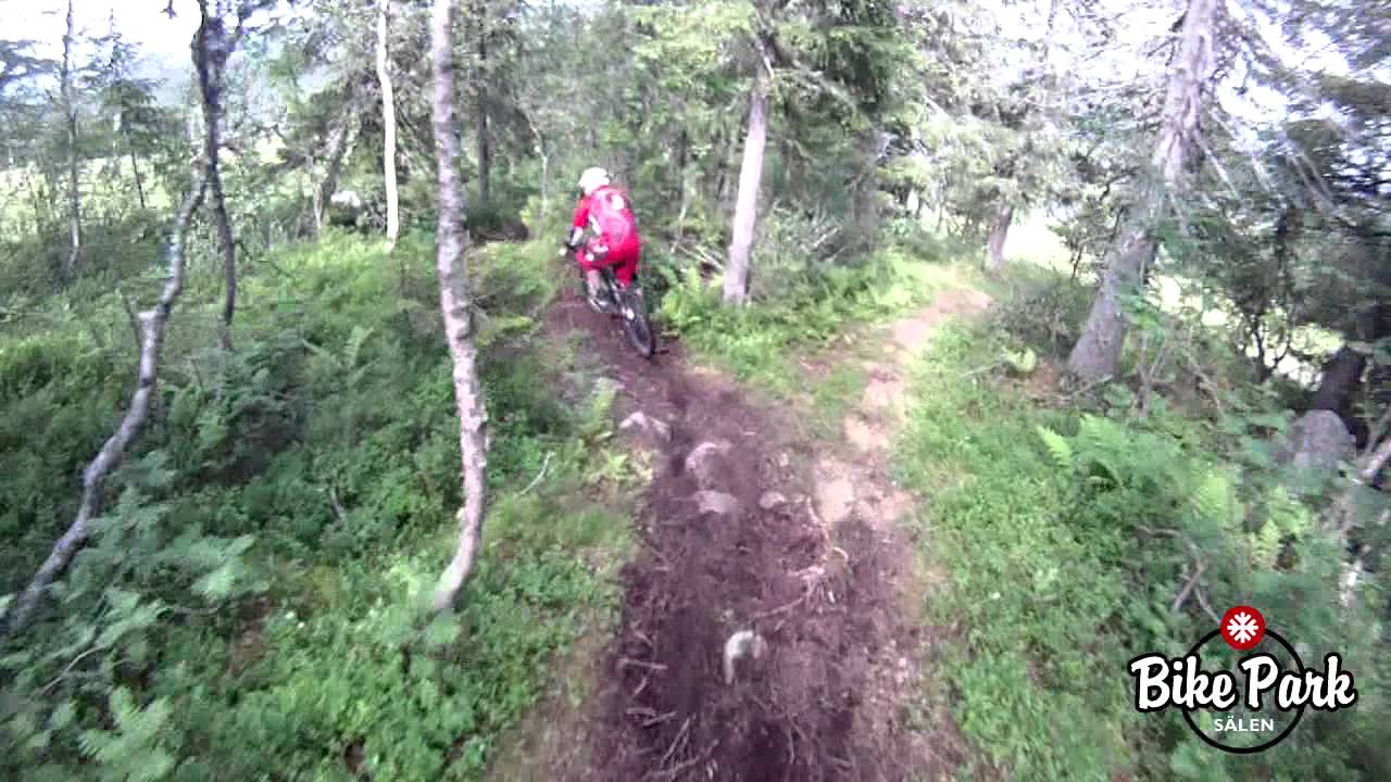 Downhillcykling i Sälen Bike Park - Sherpa