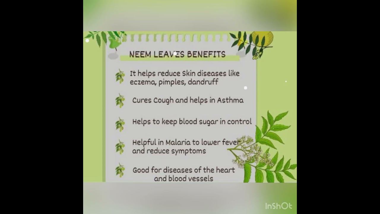 Benefits Of Neem Leaves