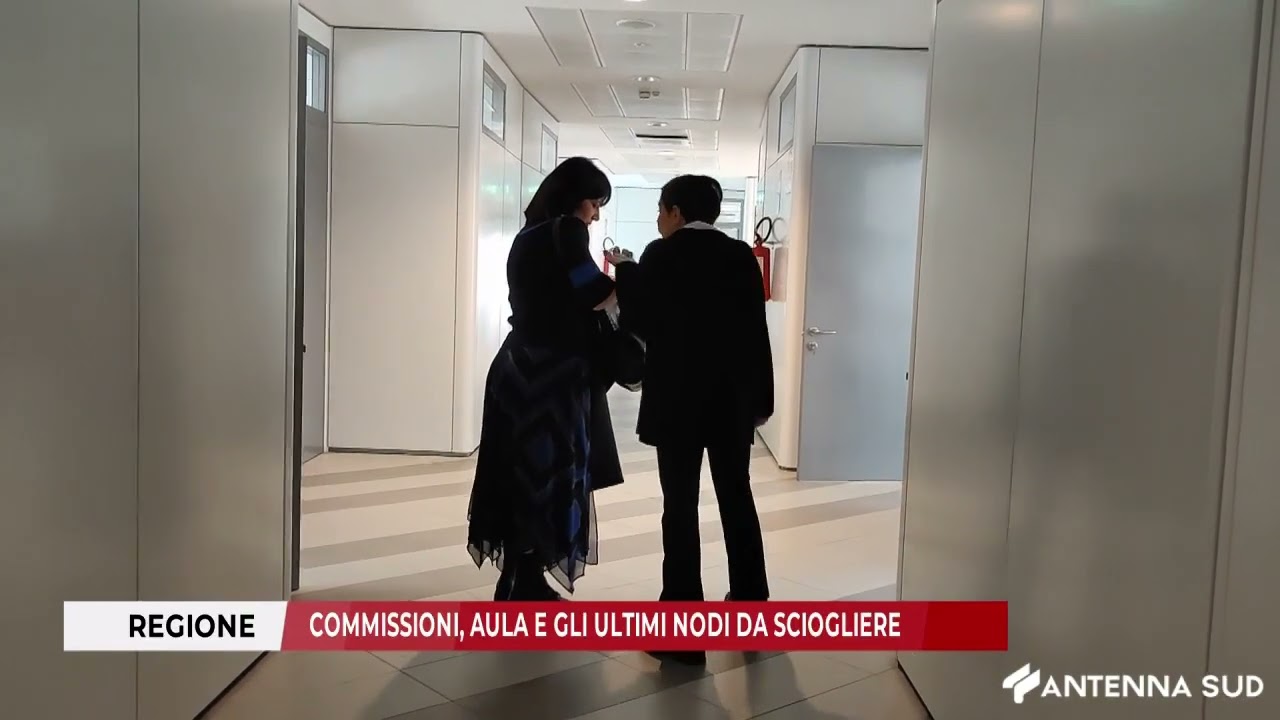 29 GENNAIO 2026 - CONSIGLIO REGIONALE ULTIMI ACCORDI