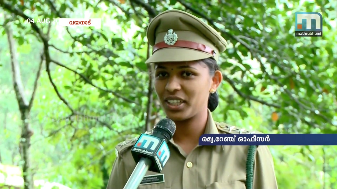 Tribal Woman To Guard Forests  | Mathrubhumi News