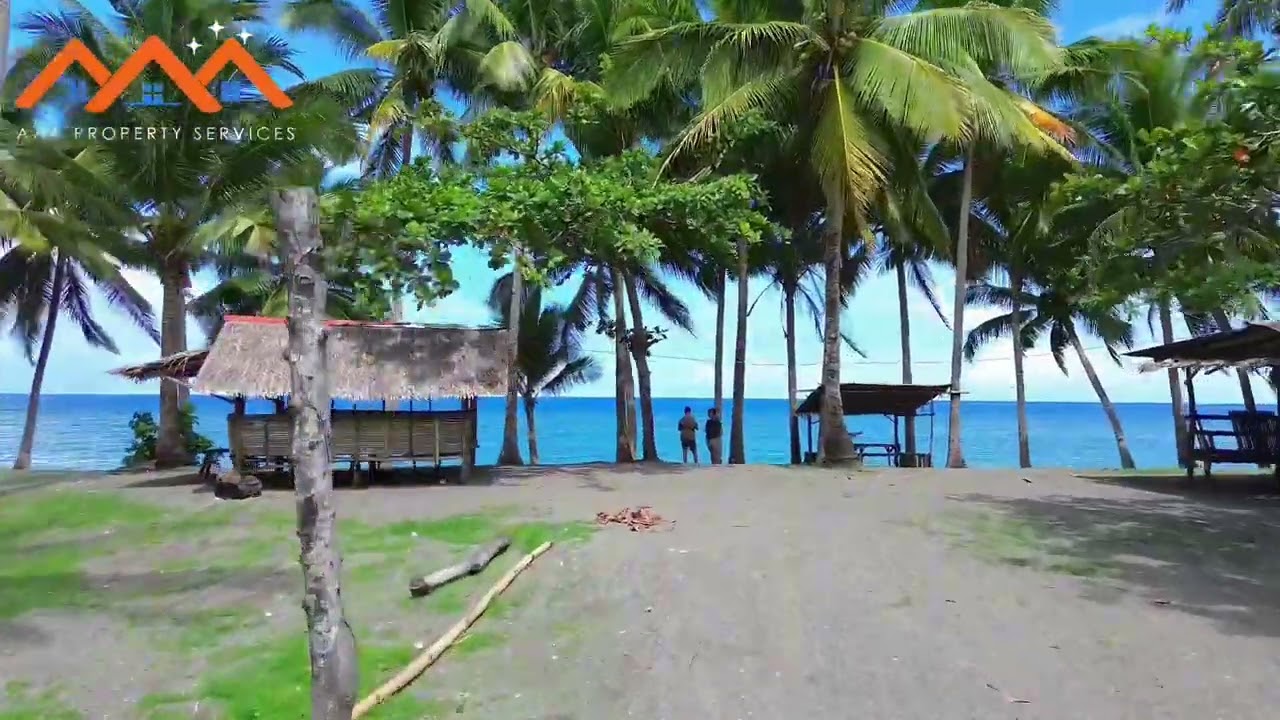 🌊 Mango & Coconut Grove Beachfront Property for Sale | 1.6 Hectares