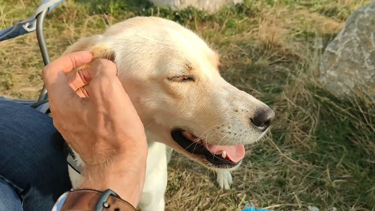 First few months with Lola