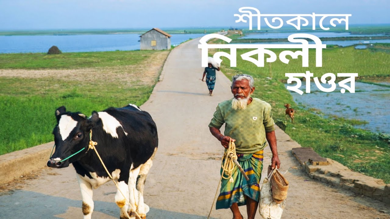 বাংলাদেশের শীতকালীন রত্ন | Nikli Haor Untouched Nature