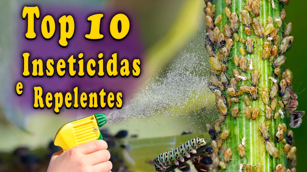 Top 10 Melhores Inseticidas e Repelentes orgânicos (COM RECEITAS)