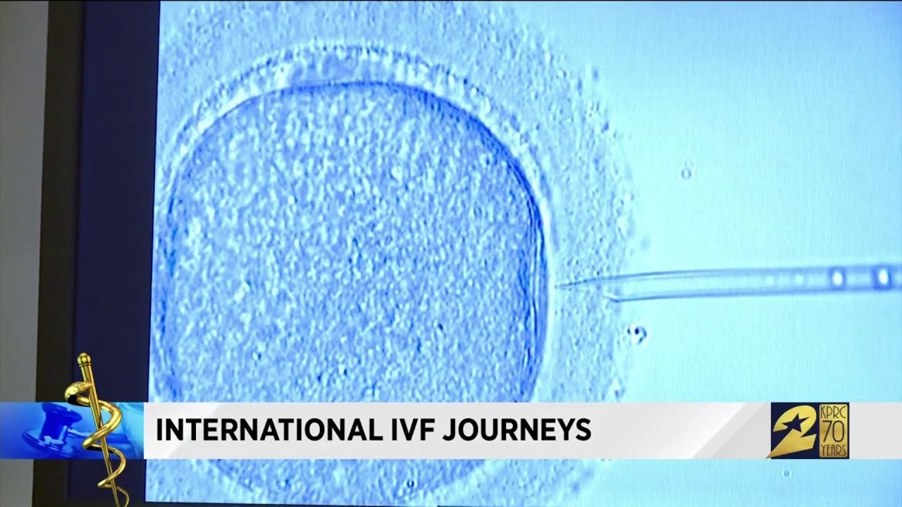 International IVF journeys
