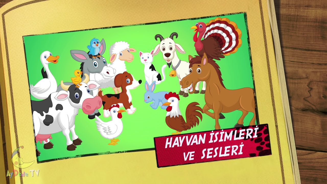 Sevimli Hayvanları Öğreniyoruz | Hayvan İsimleri ve Sesleri 🐔🐐