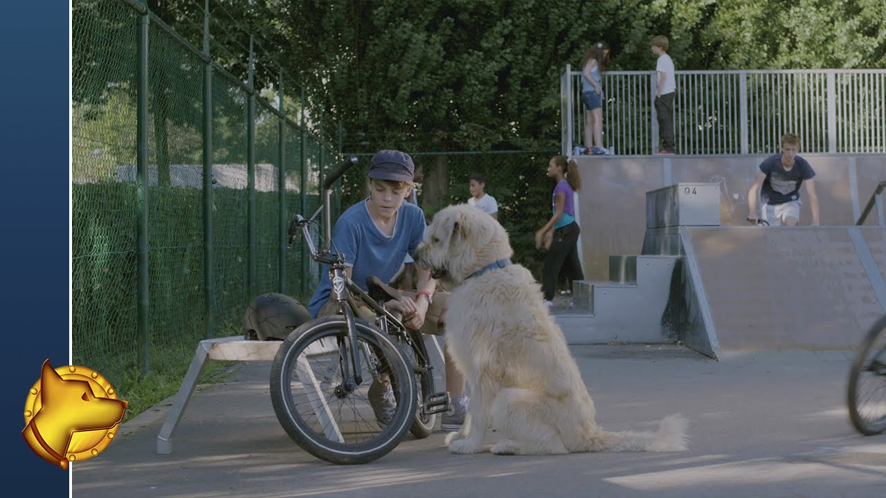 Kosmoo - BMX ramp | Aflevering
