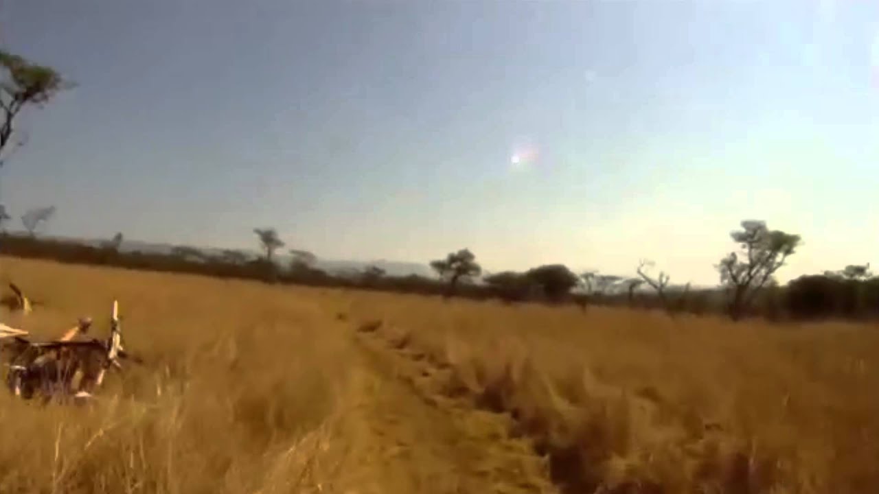 Mondial Assistance - 2P2L Corporate #TEASER1