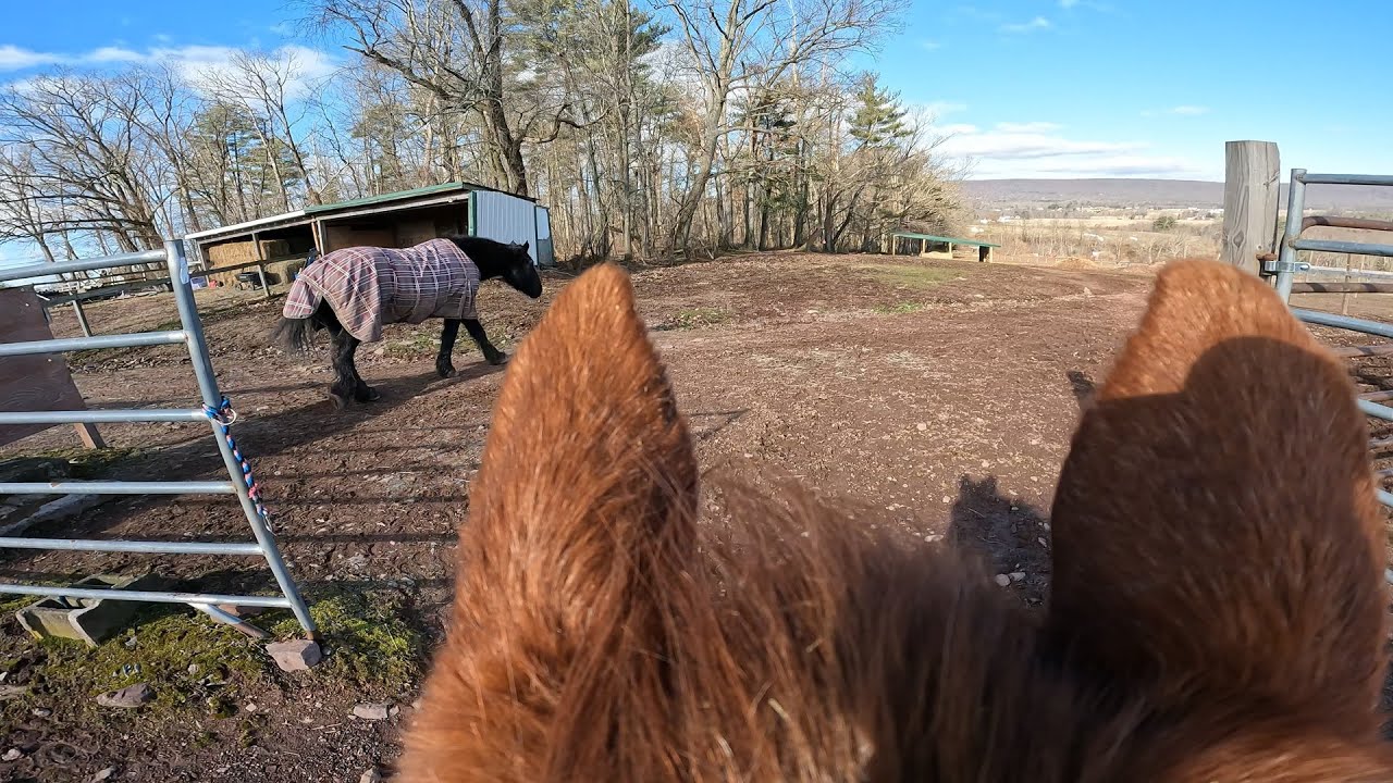 A Day In The Life Of SPITFIRE