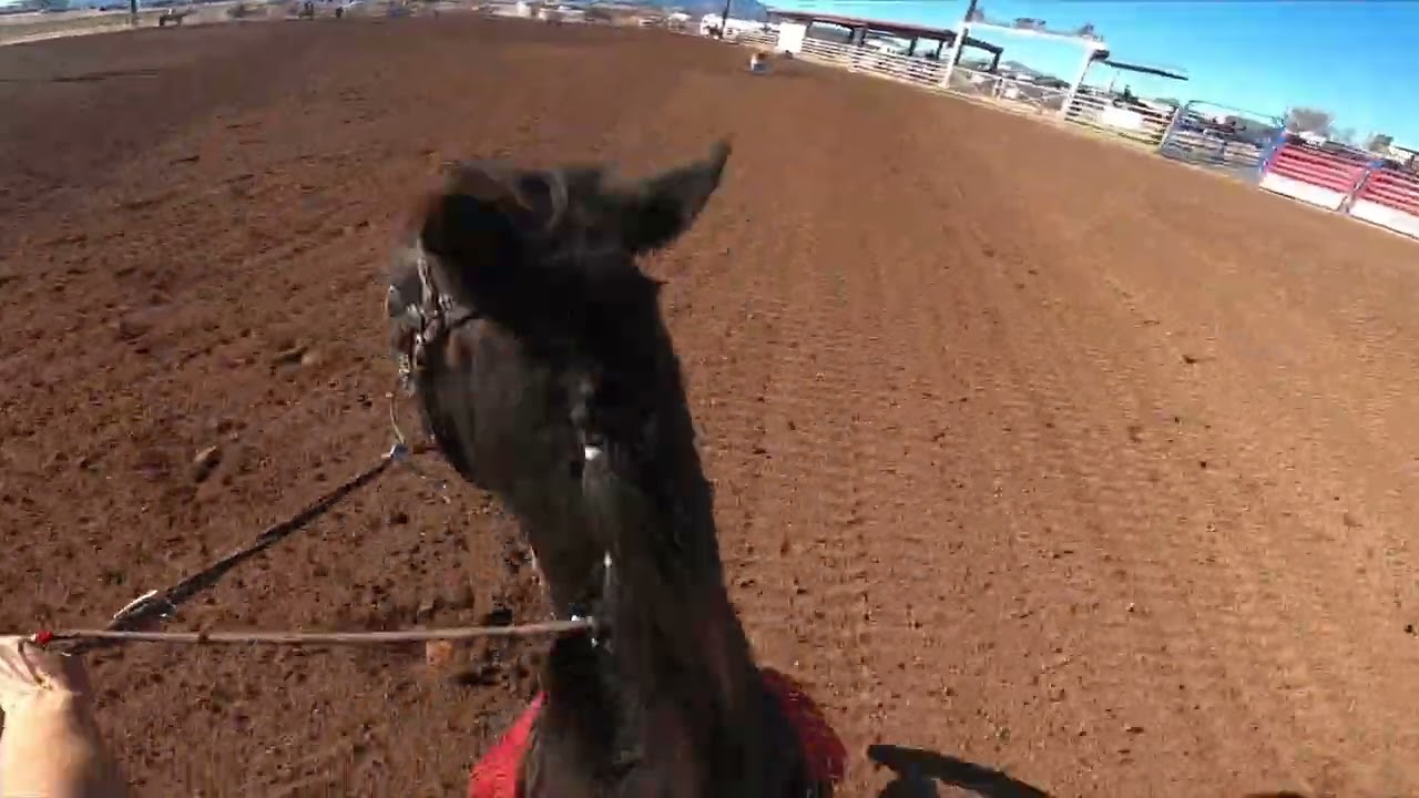 Come Barrel Race With Me In Sonoita… And Our Almost Accident! 