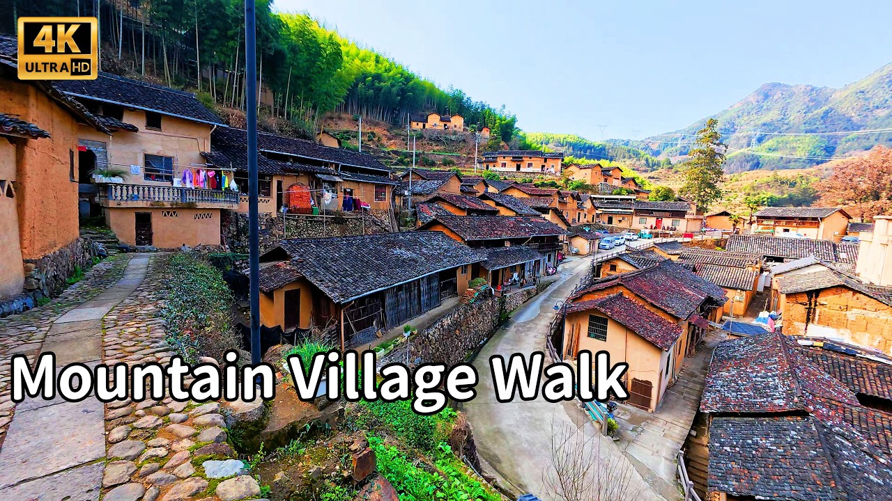 Houshe Village Walk | Ancient Trees & Mountain Terraces in Songyang, China后畲村徒步｜古树环绕的山中传统村落｜松阳