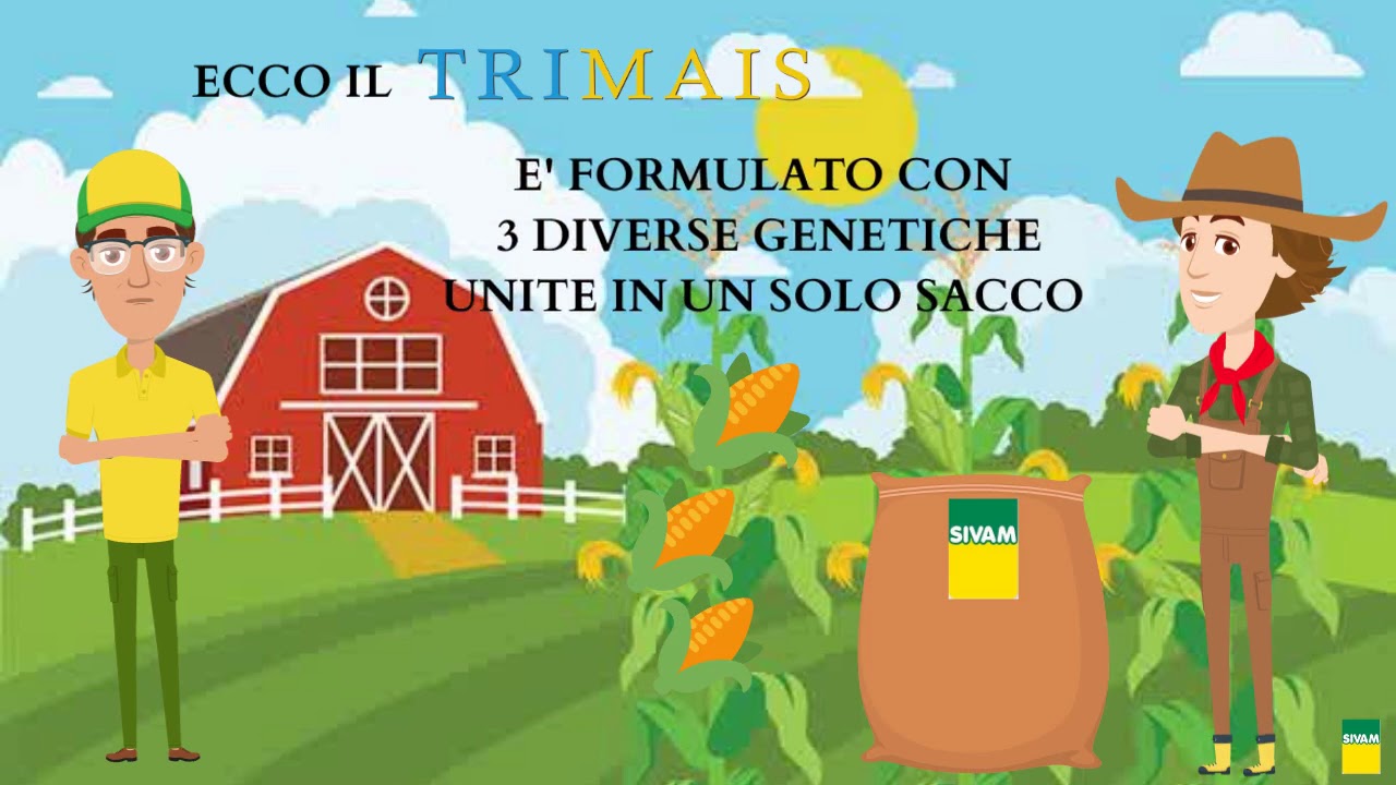 Trimais, il mix per insilato con massima adattabilità di campo